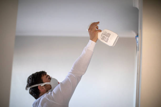 Home Mold Removal in Rosedale, WA