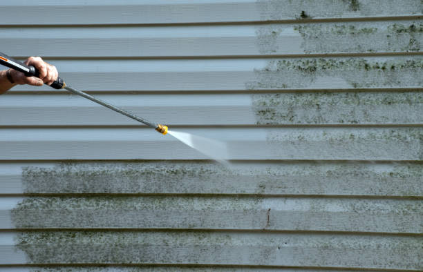 Best Office Mold Removal Services  in Rosedale, WA