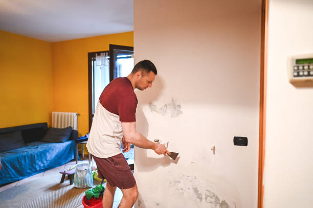 Best Best Mold Removal Companies  in Rosedale, WA