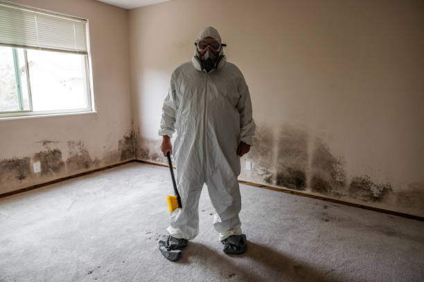 Best Mold Testing  in Rosedale, WA